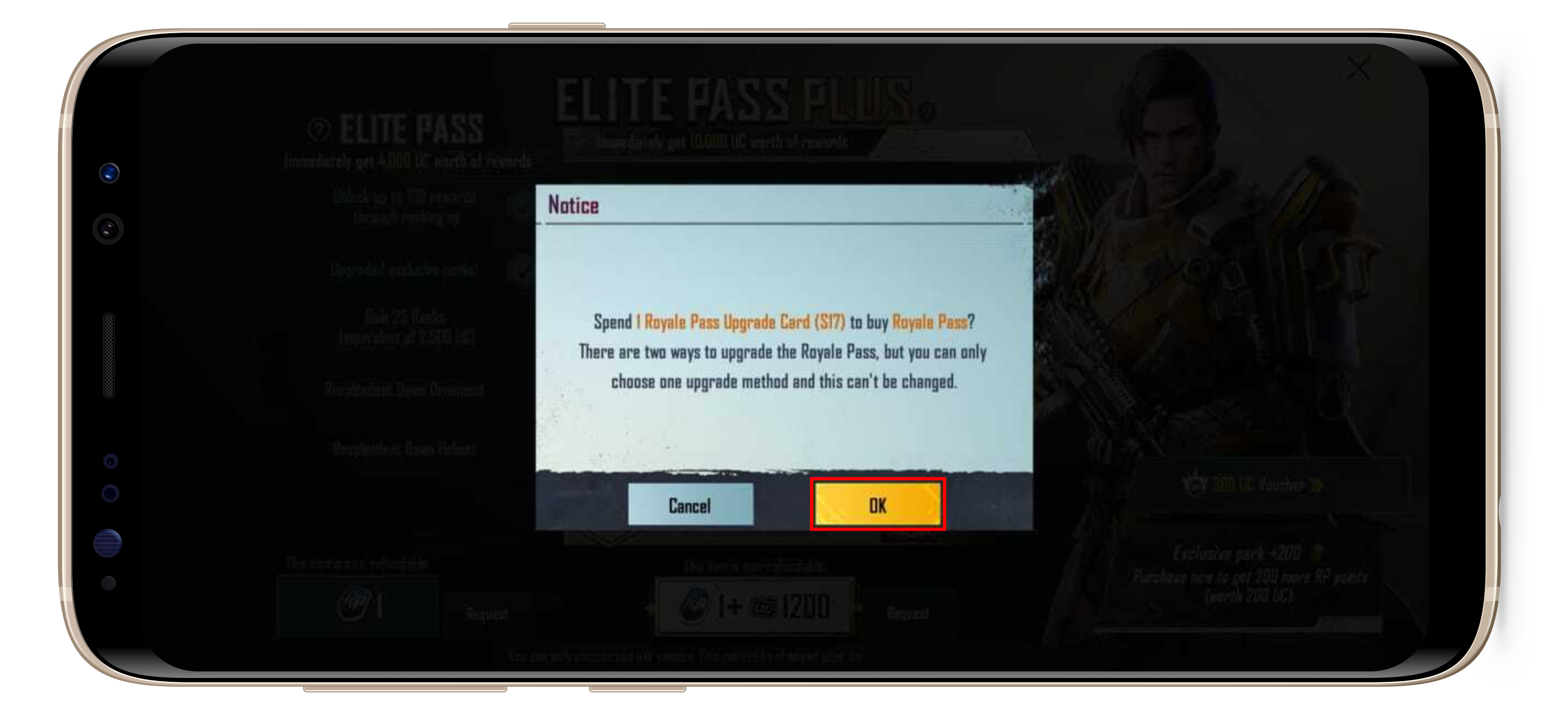 PUBG_Royale_Pass_9.png